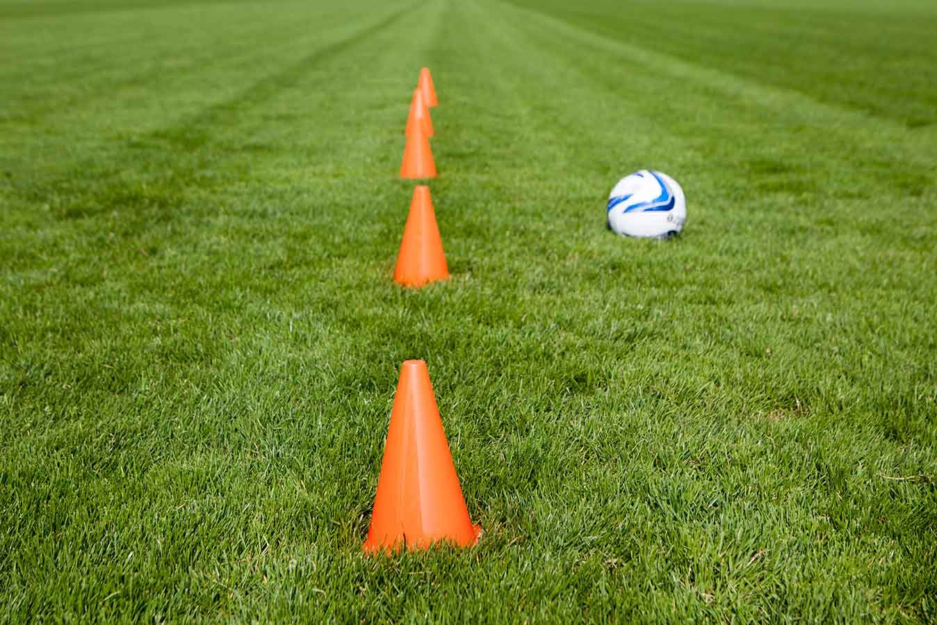 Aspire Dulwich Hamlet junior team trials