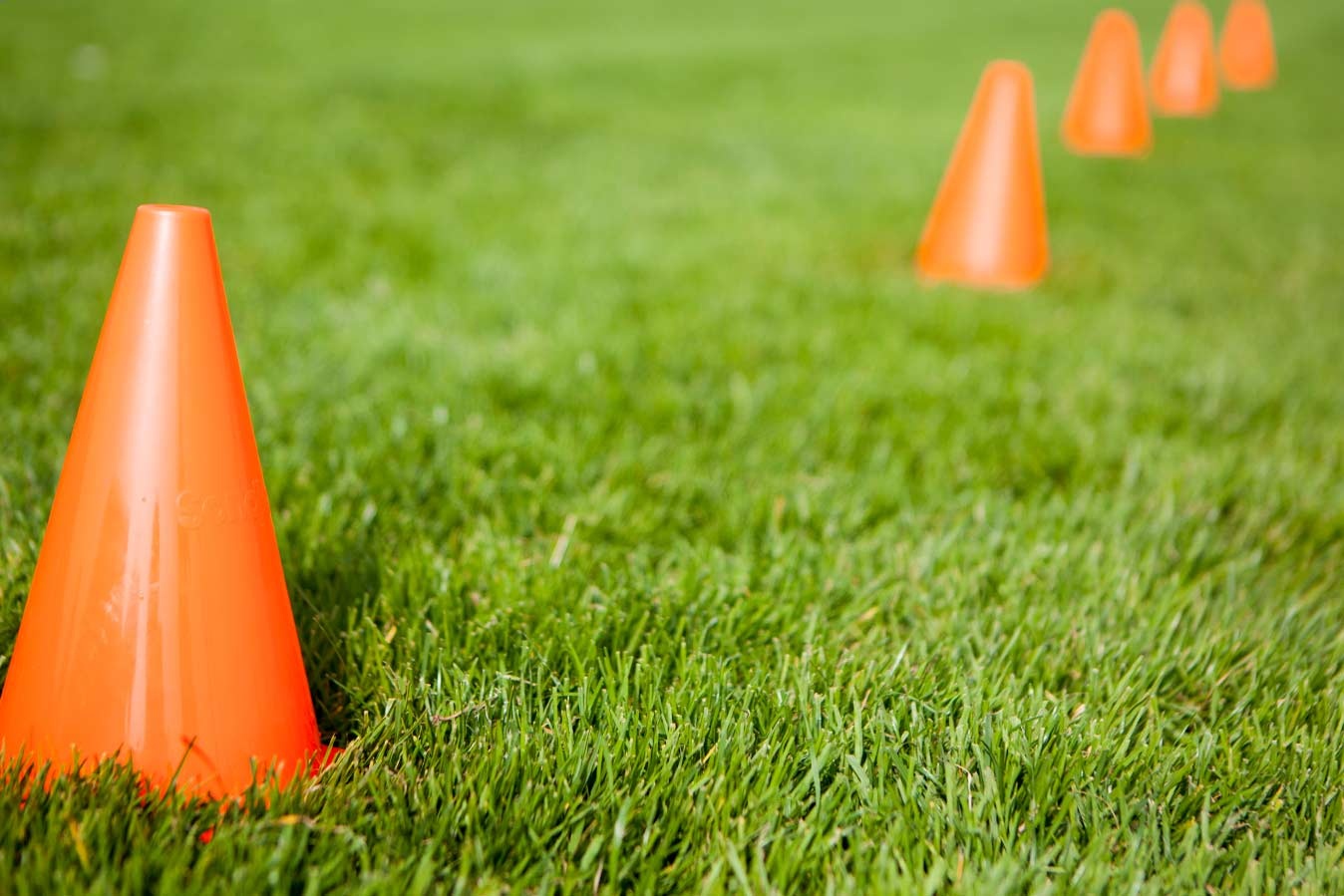 Further Preseason Fixture Announced