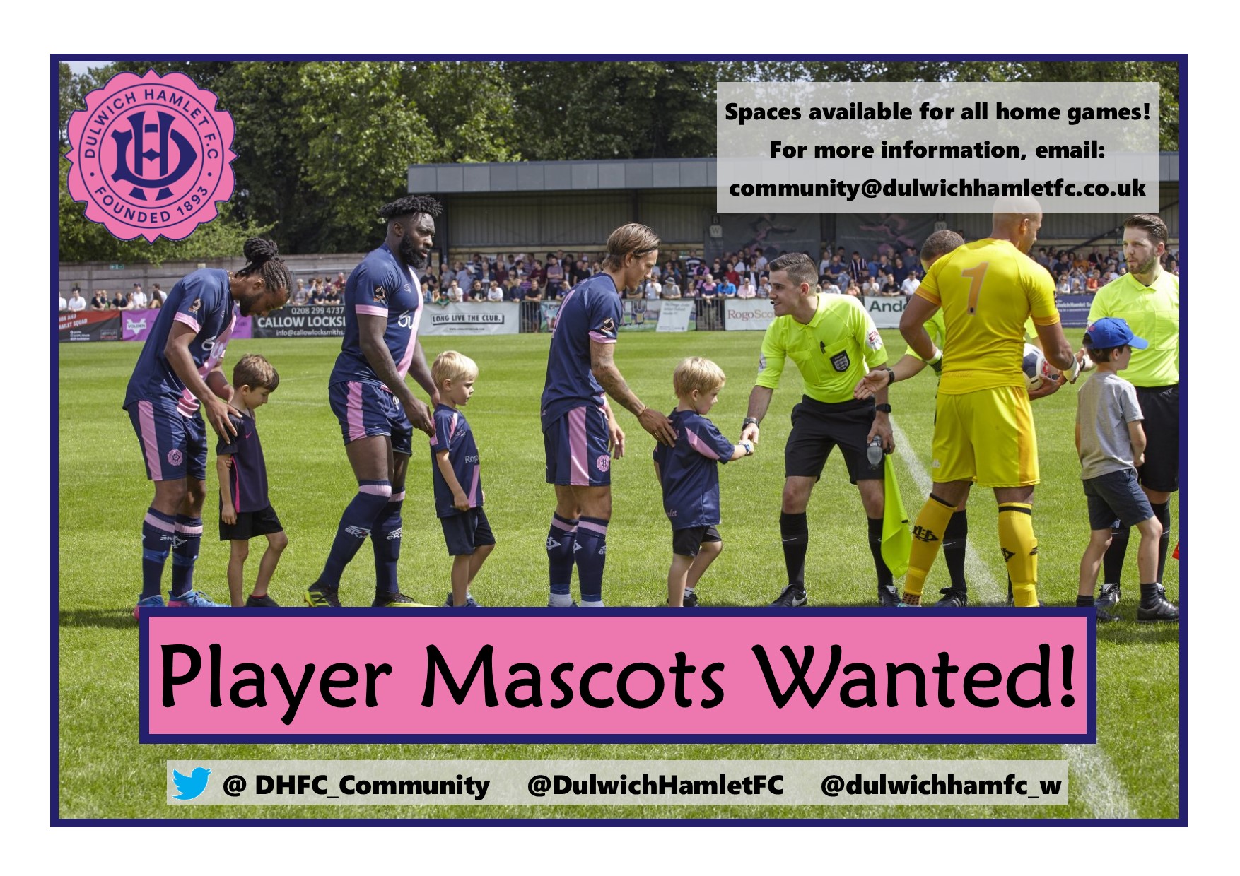 Wanted - Dulwich Hamlet player mascots!