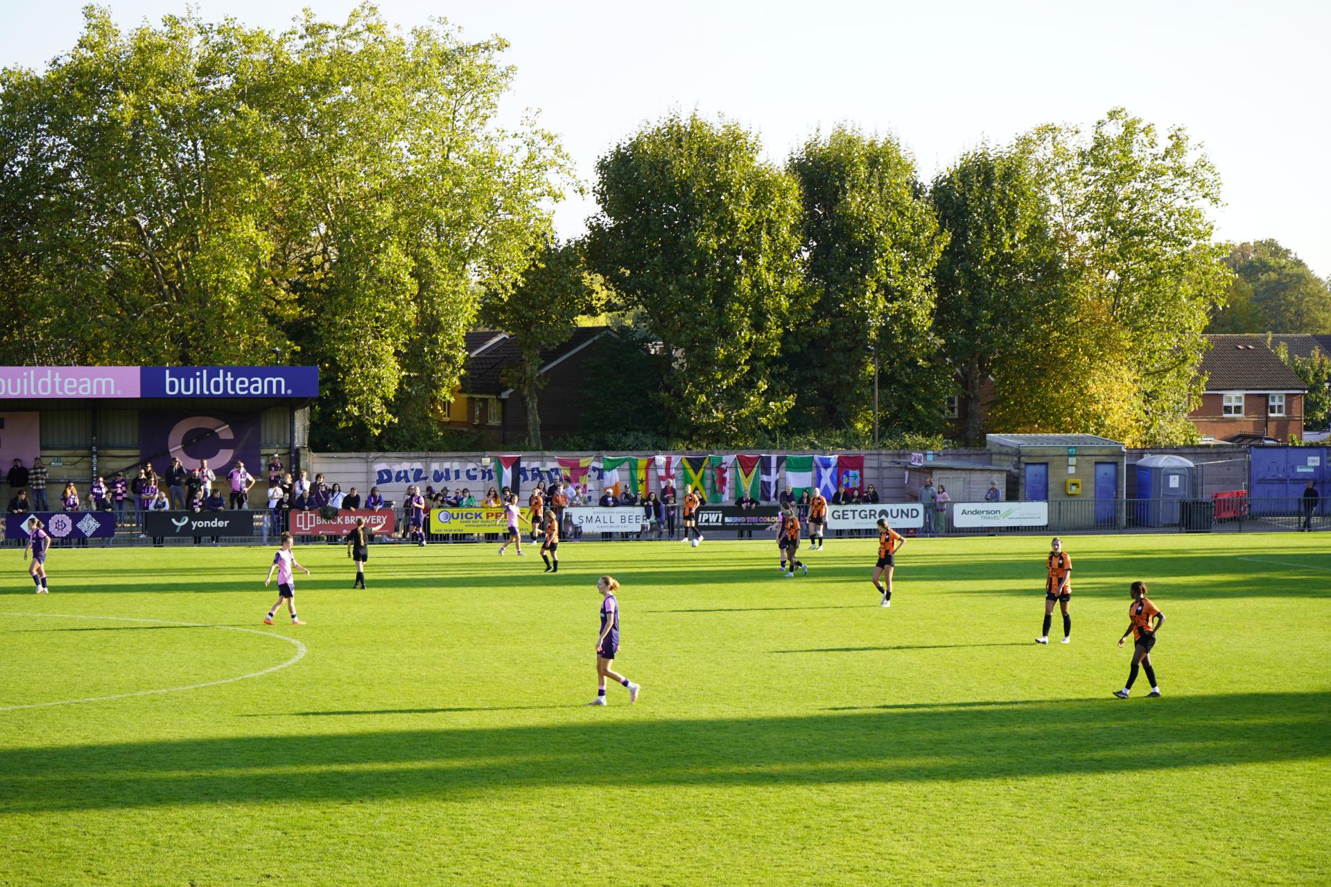 REPORT | Dulwich Hamlet 1 - 3 London Bees | FAWNL