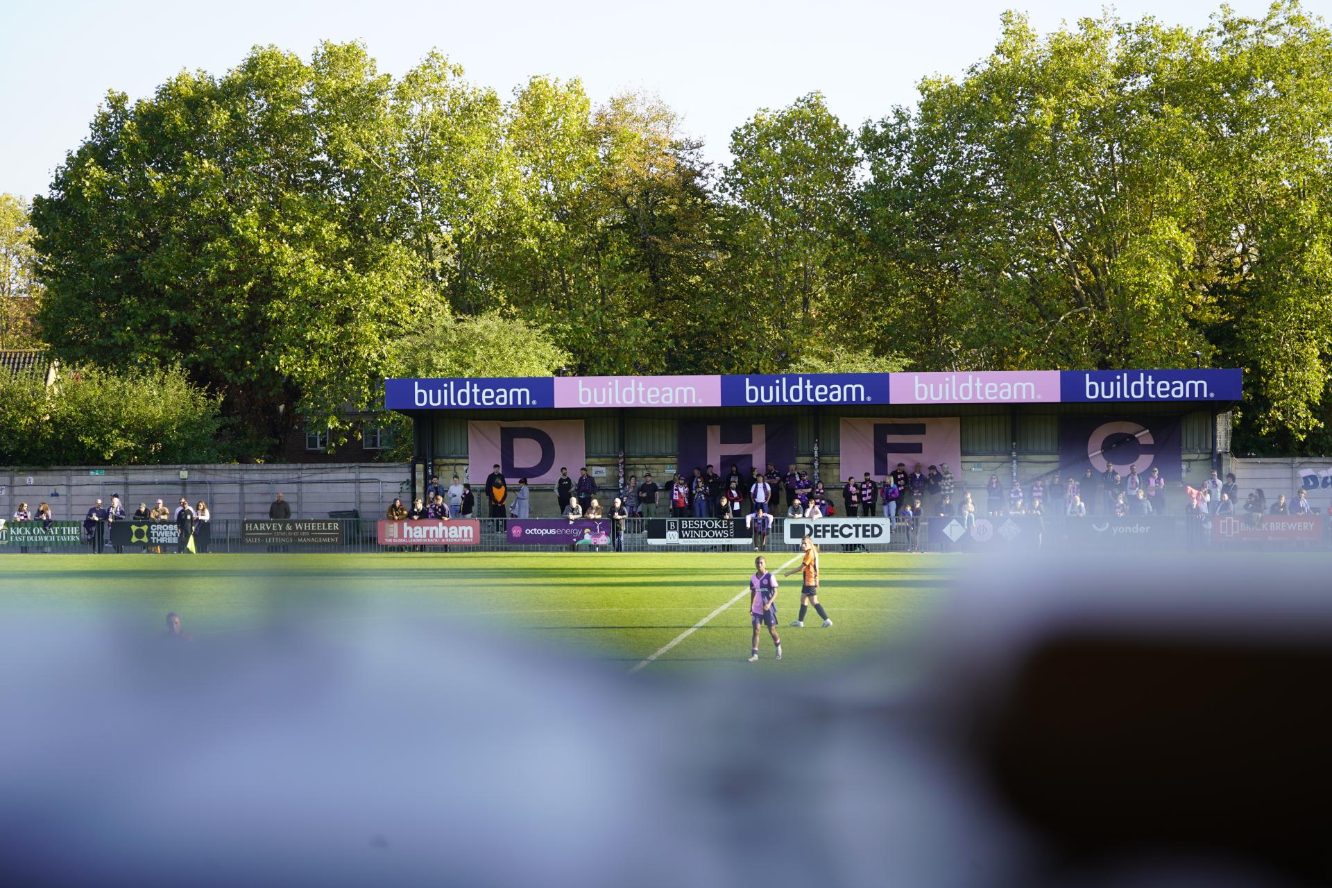 HIGHLIGHTS | Dulwich Hamlet 1 - 3 London Bees | FAWNL | 12/10/25